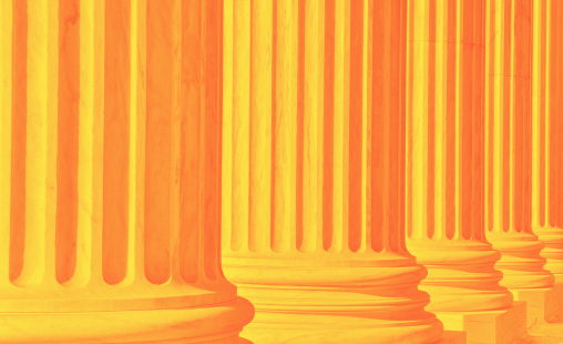 constitution page